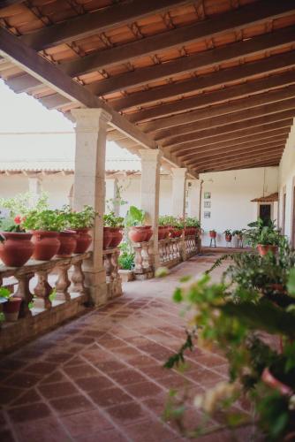 Un jardín fuera de Hacienda de Comodejé