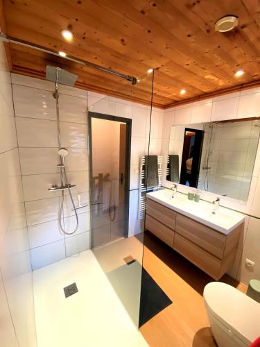 une salle de bain avec une douche, un lavabo et des toilettes dans l'établissement Nouveau - Duplex avec terrasse et parking 70m, à Bozel