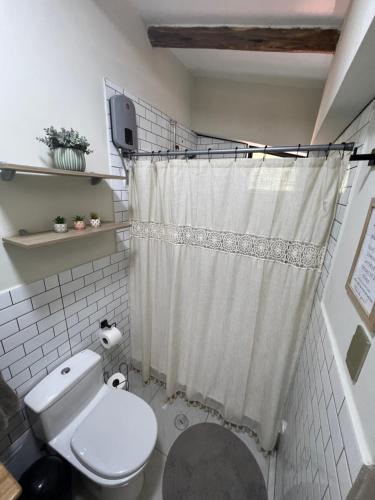 a bathroom with a toilet and a shower curtain at Q'inti Apartment in Lamay