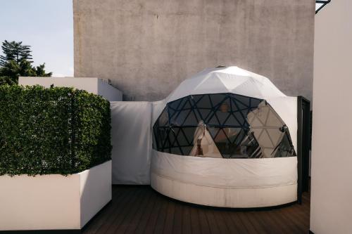 a iglooastery on a deck with a hedge at Casa Castillo Condesa in Mexico City