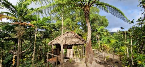 a small hut in a jungle with a palm tree at Lava view Bungalows in Isaka