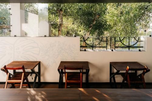two tables and chairs in front of a wall with trees at Casa Castillo Condesa in Mexico City