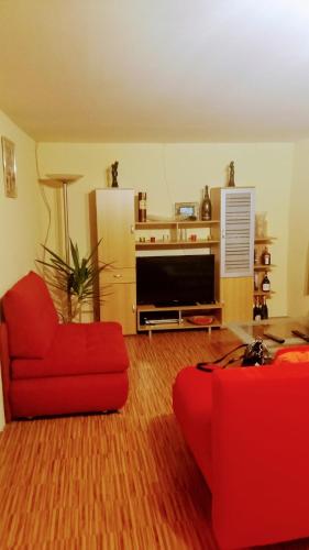 un salon avec un canapé rouge et une télévision dans l'établissement Ferienhaus du Bourguignon, Lorraine, à Saint-Quirin
