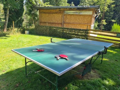 - une table de ping-pong avec deux balles dans l'établissement Ferienhaus du Bourguignon, Lorraine, à Saint-Quirin