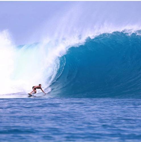 Επισκέπτες που μένουν στο Playgrounds Sabbit Mentawai Surfcamp