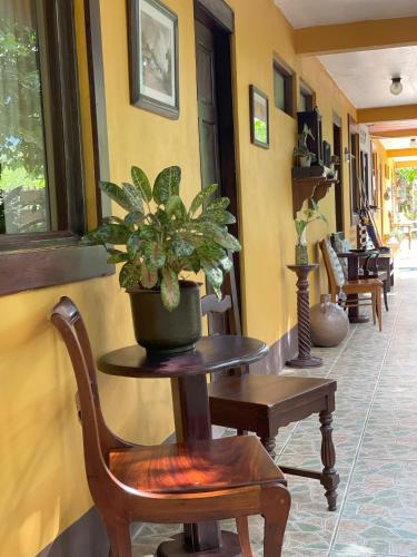 a potted plant on a table in a hallway at Kakao Lodge & Garden Río Celeste in Bijagua
