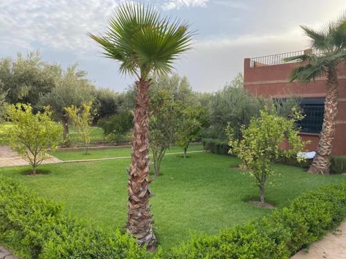 Ein Garten an der Unterkunft Exclusive Villa Privée 5 Chambres Route de L Ourika