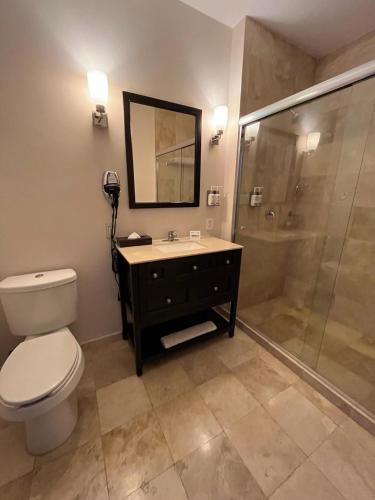 a bathroom with a toilet and a shower and a sink at Holiday Inn Mexico Santa Fe by IHG in Mexico City