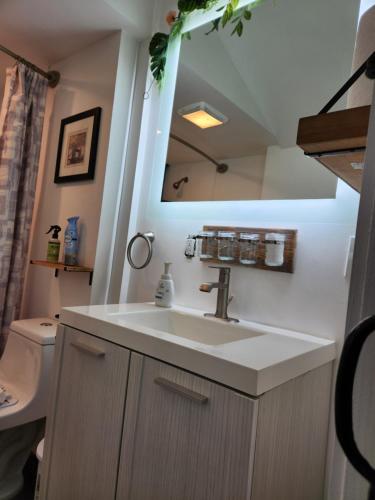 a bathroom with a sink and a mirror at It's Springtime in the PNW, come on out and enjoy! in Hillsboro
