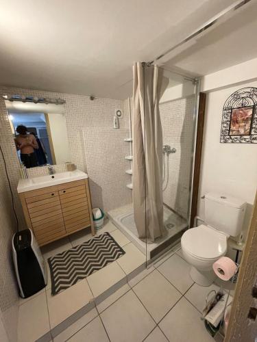 une salle de bain avec une douche, des toilettes et un lavabo dans l'établissement Maison pour vacances en famille, à La Celle-sous-Gouzon