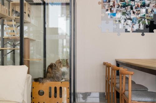 a cat sitting in a box in a room at Wuyi Whispering Maple in Dali