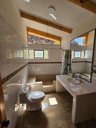 a bathroom with a toilet and a sink at La Estancia del Molle in El Molle