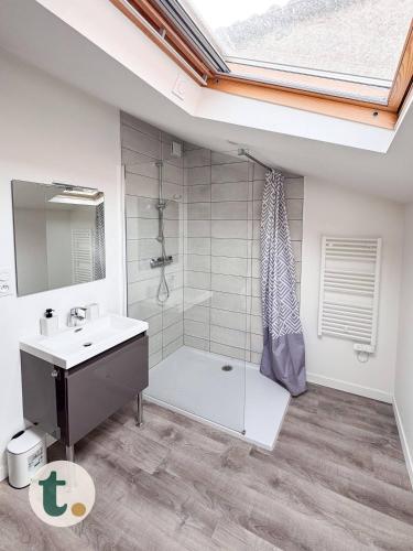une salle de bain avec une douche, un lavabo et un miroir dans l'établissement Tranquiloue - Petit Appartement - 10min Puy du Fou, aux Herbiers