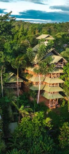 Puerto NariñoにあるParaíso Ayahuasca Hotel & Toursの木の上空の眺望