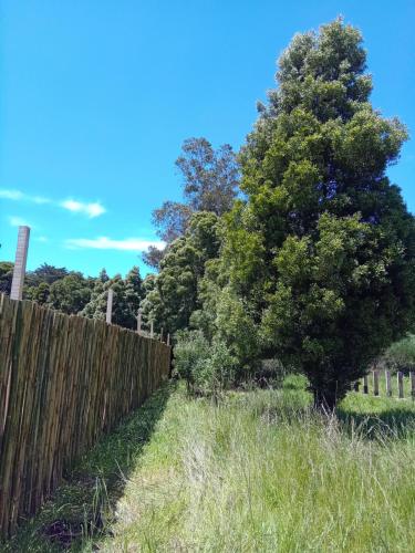 マル・デル・プラタにあるCamping Sadhu Argentinaの柵の横の畑の木