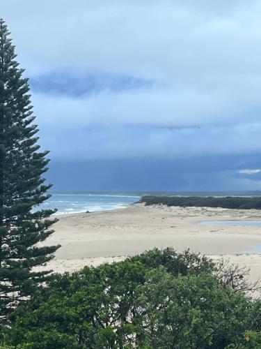 a beach with a pine tree and the ocean at Araluen, Esplanade, Caloundra in Caloundra
