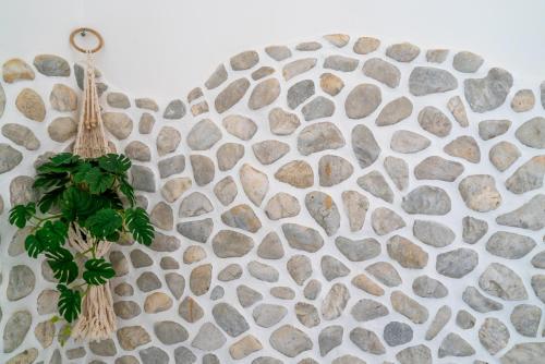 a rock wall with a plant on it at U Story Resort in Siquijor