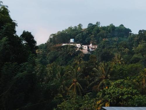 a house on top of a hill with trees at Residence Balanagala View Kandy in Katugastota