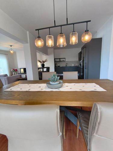 Downtown Luxury Apartment
