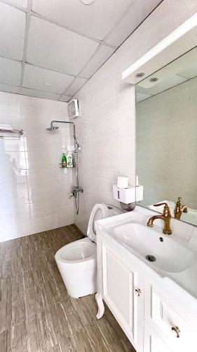 a bathroom with a sink and a toilet and a mirror at Hải Đăng Homestay - Hạ Long in Ha Long