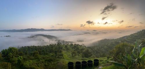 a view of a foggy valley with trees and clouds at LiLLA Summer Retreat - Bentong in Kampung Sunjai Gapoi