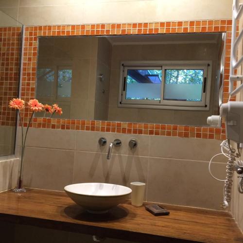 a bathroom with a sink and a mirror at Complejo Aires del Bosque in Chascomús