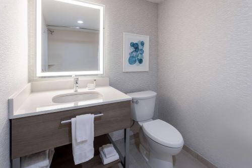 a bathroom with a sink and a toilet and a mirror at Hampton Inn & Suites Venice Bayside South Sarasota in Venice
