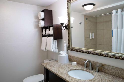 a bathroom with a sink and a mirror at Hampton Inn Charleston-Historic District in Charleston