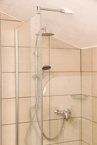 a shower with a glass door in a bathroom at Villa Silvanus in Ebensee