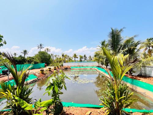 a pool in the middle of a resort with palm trees at V island mundro in Munroe Island