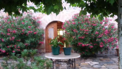 two bushes with pink flowers and a table in a garden at Kuko Hotel - Adults Only in Oronoz-Mugaire