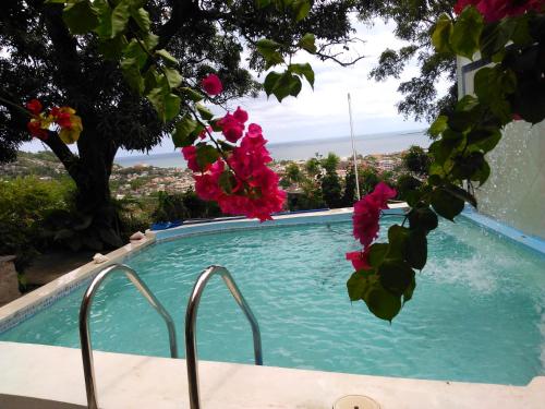 Piscine de l'établissement Habitation Des Lauriers ou située à proximité