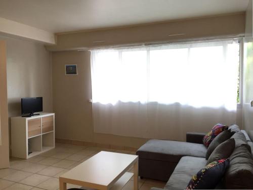 un salon avec un canapé et une télévision dans l'établissement Grand studio confortable avec Wi-Fi à Biarritz - FR-1-3-627, à Biarritz