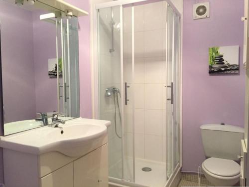 une salle de bain avec une douche, un lavabo et des toilettes dans l'établissement Grand studio confortable avec Wi-Fi à Biarritz - FR-1-3-627, à Biarritz
