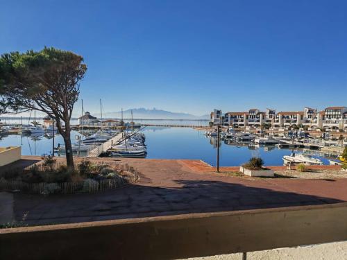 Appartement T2 avec balcon vue port et accès piscine - FR-1-195-116