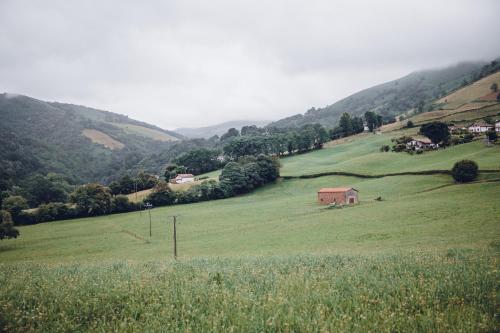 un champ d'herbe verte avec une grange au milieu dans l'établissement Hôtel Barberaenea, à Bidarray