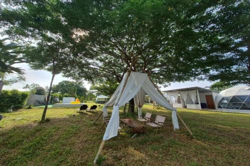 Taman di luar NaNine Glamping