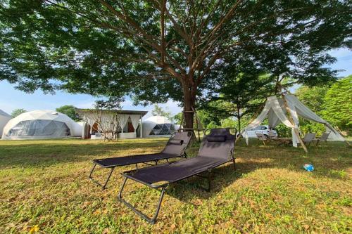 Taman di luar NaNine Glamping