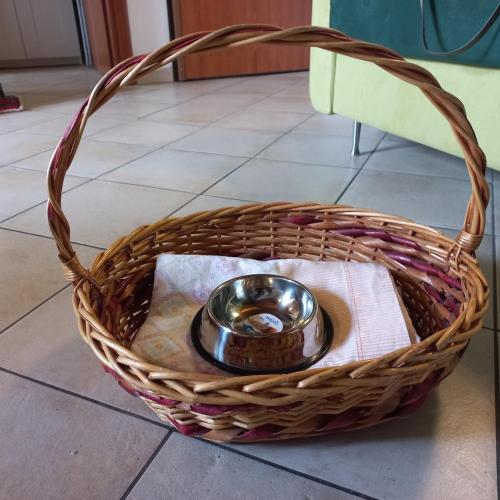 a dog bowl in a basket on a floor at Appartamento Il Loftino in Forlì