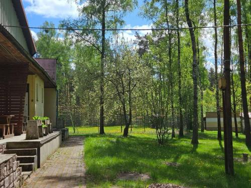 a backyard with trees and a brick walkway at Leśna Osada Tęcza Jabłonowiec in Jabłonowiec