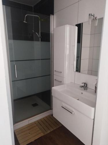 une salle de bain avec une douche en verre et un lavabo dans l'établissement L'étang du griffolet, à Ussac