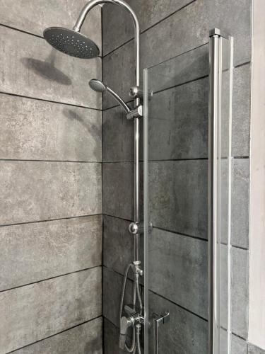 a shower with a shower head in a bathroom at T2 Cosy avec jardin Barcares Village in Le Barcarès