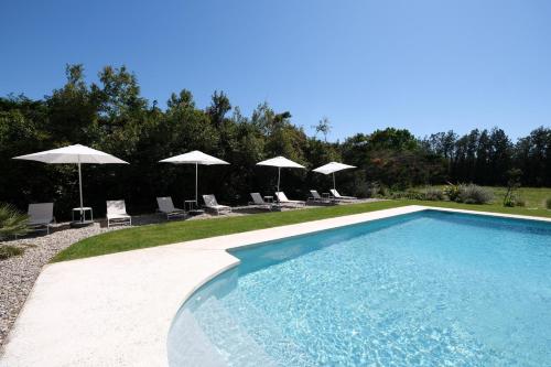 une piscine avec chaises et parasols dans l'établissement charming house with private pool in lagnes, near isle sur la sorgue, in the luberon, in Provence, for 8 people, à Lagnes