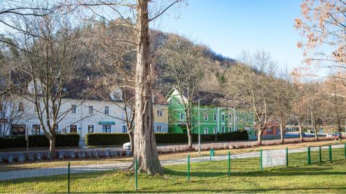 a group of houses in a park with a tree at Apartments Artorius Laško in Laško