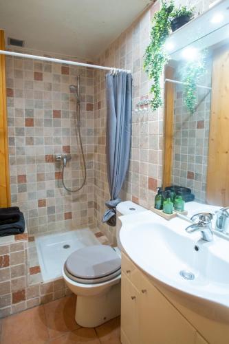 une salle de bain avec toilettes, lavabo et douche dans l'établissement Great value simple studio, à Morzine