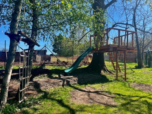 a playground with a slide on a tree at NEW! Tiny house U Jelena, hot tub in Trutnov