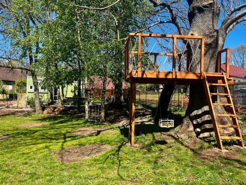 a tree house with a ladder on a tree at NEW! Tiny house U Jelena, hot tub in Trutnov