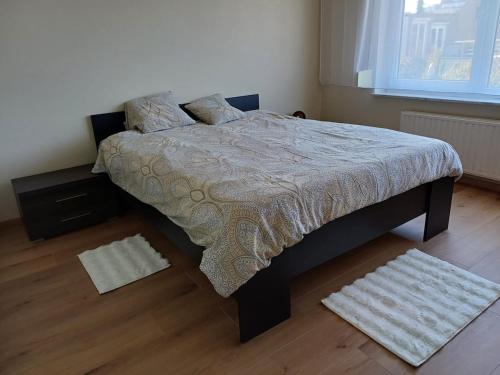 a bedroom with a bed and a window at Cosy -confort appartment in Antwerp