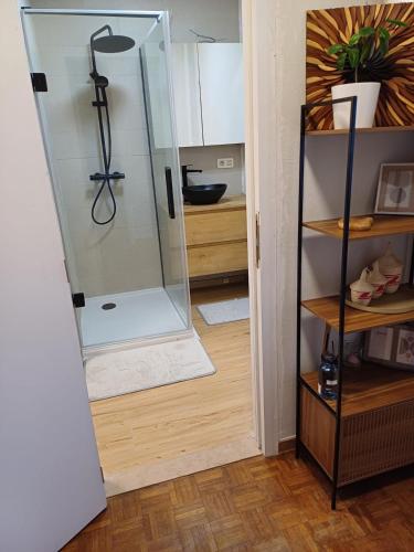 a bathroom with a shower with a glass door at Cosy -confort appartment in Antwerp