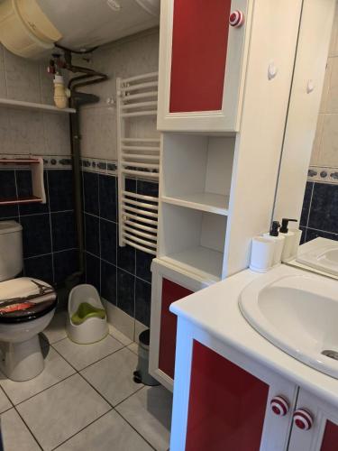une salle de bain avec un lavabo blanc et des toilettes dans l'établissement Chez Julienne - Mur de Sologne - 6 personnes, à Mur-de-Sologne